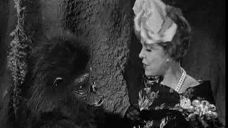 A scene from the Diamonds Are an Ape's Best Friend episode of Gilligan's Island