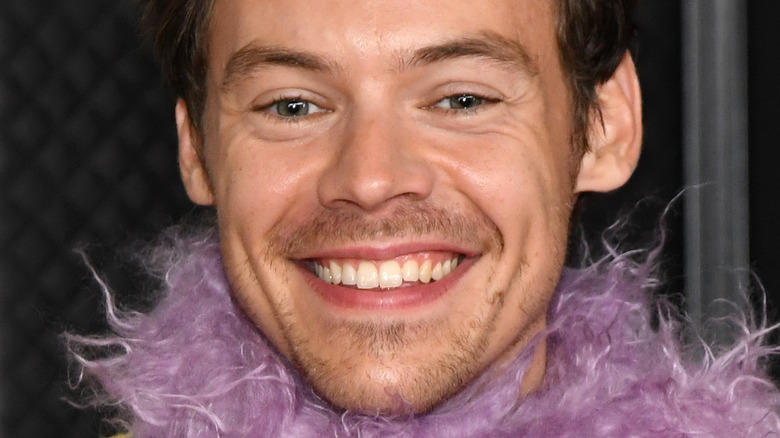 Harry Styles smiles wearing a feather boa