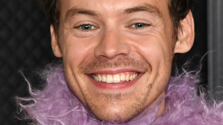Harry Styles smile 