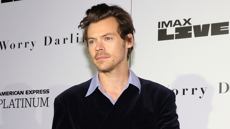 Harry Styles posing