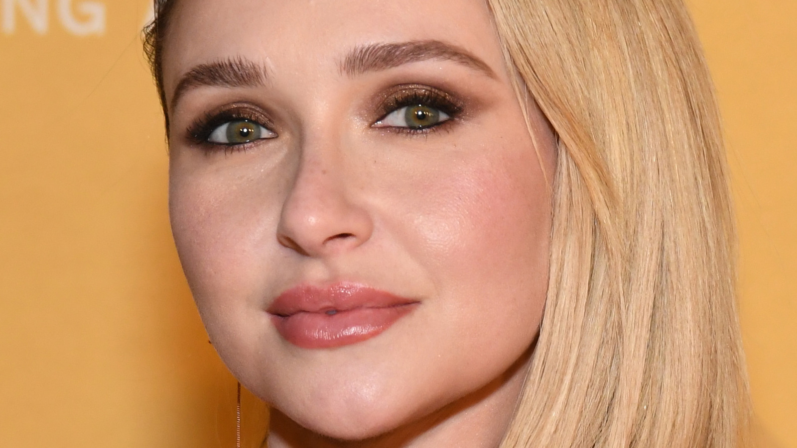 Hayden Custody Situation With Her Daughter Explained