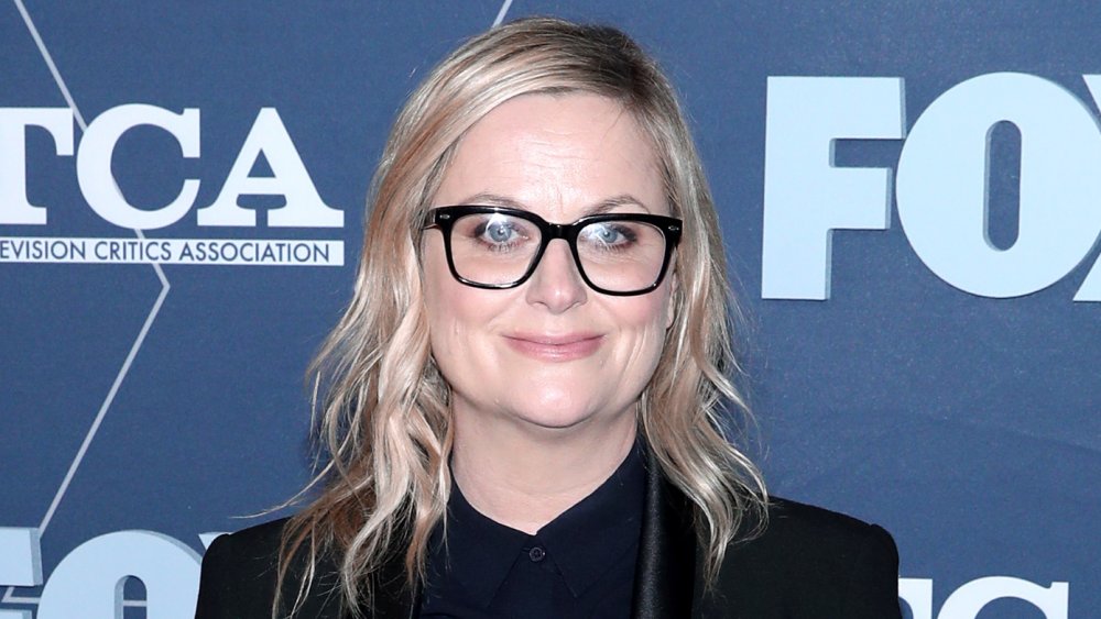 Amy Poehler