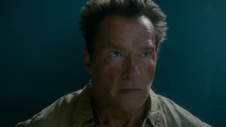 Arnold Schwarzenegger in The Expendables 2