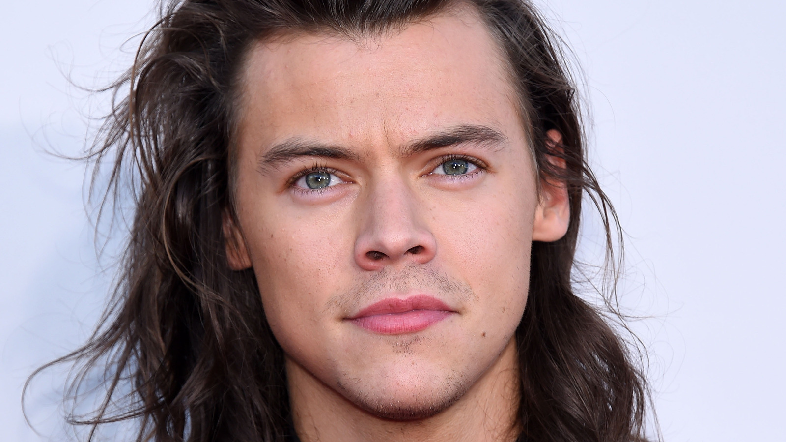 Here's How Much Harry Styles Is Actually Worth