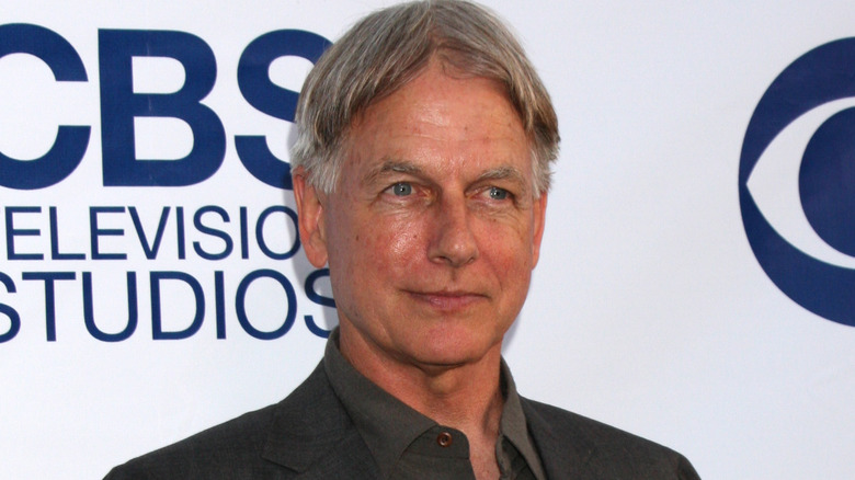 Mark Harmon on the red carpet