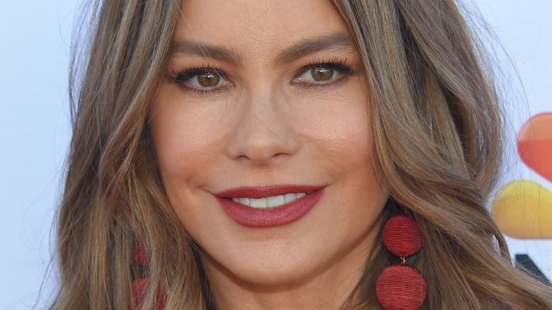 Sofia Vergara smiling