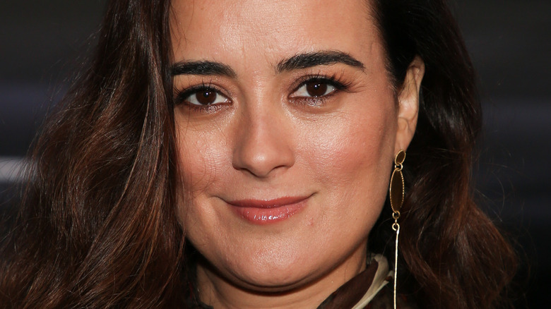 Photos of cote de pablo