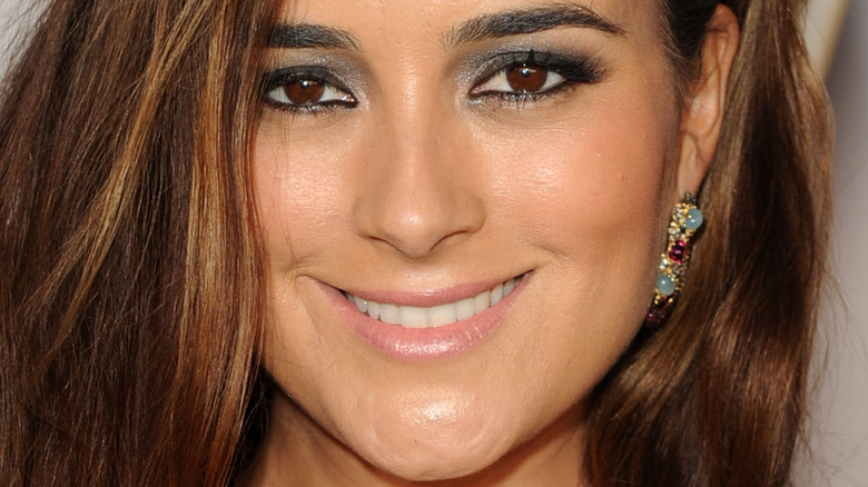 Cote de Pablo eye makeup