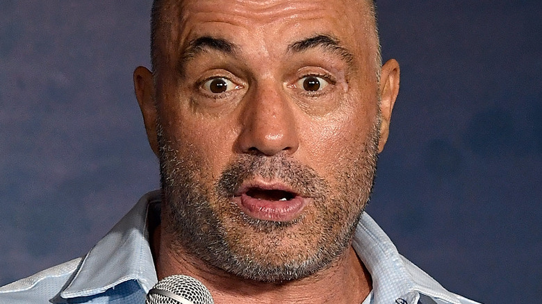 Joe Rogan posing