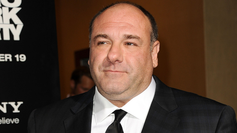 James Gandolfini on the red carpet