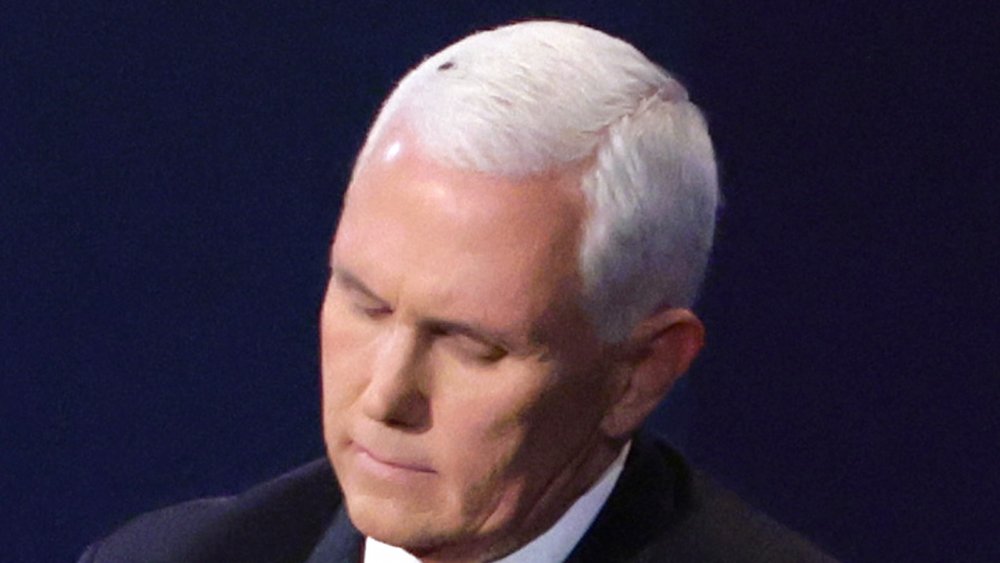 Mike Pence, The Fly