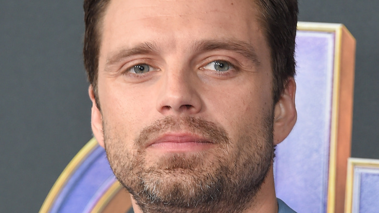 Sebastian Stan posing 