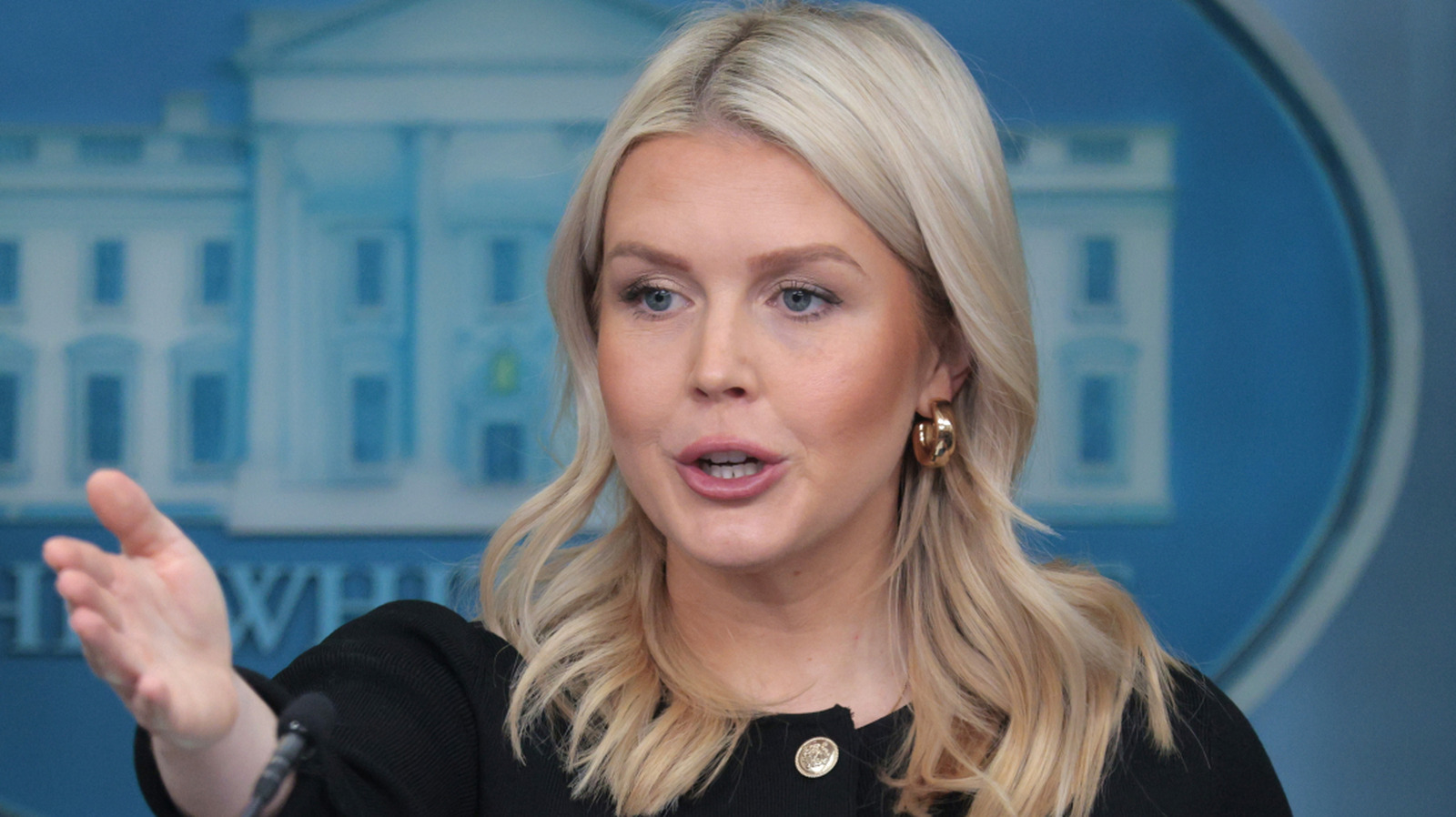 nickiswift.com - Ryan Aston - Hollywood Vs. MAGAland: The 12 Most Jarring 'Trout Pouts'