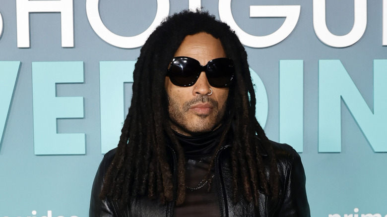 Lenny Kravitz posing