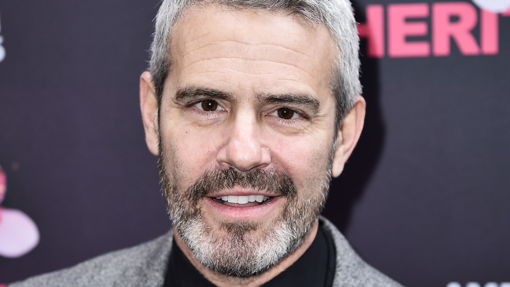 Andy Cohen, grey facial hair and hair, smiling, red carpet