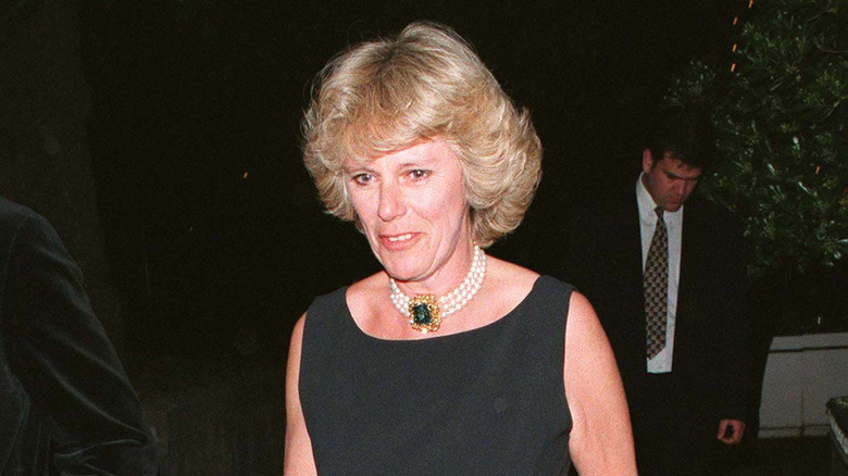 Camilla Parker Bowles in the '90s