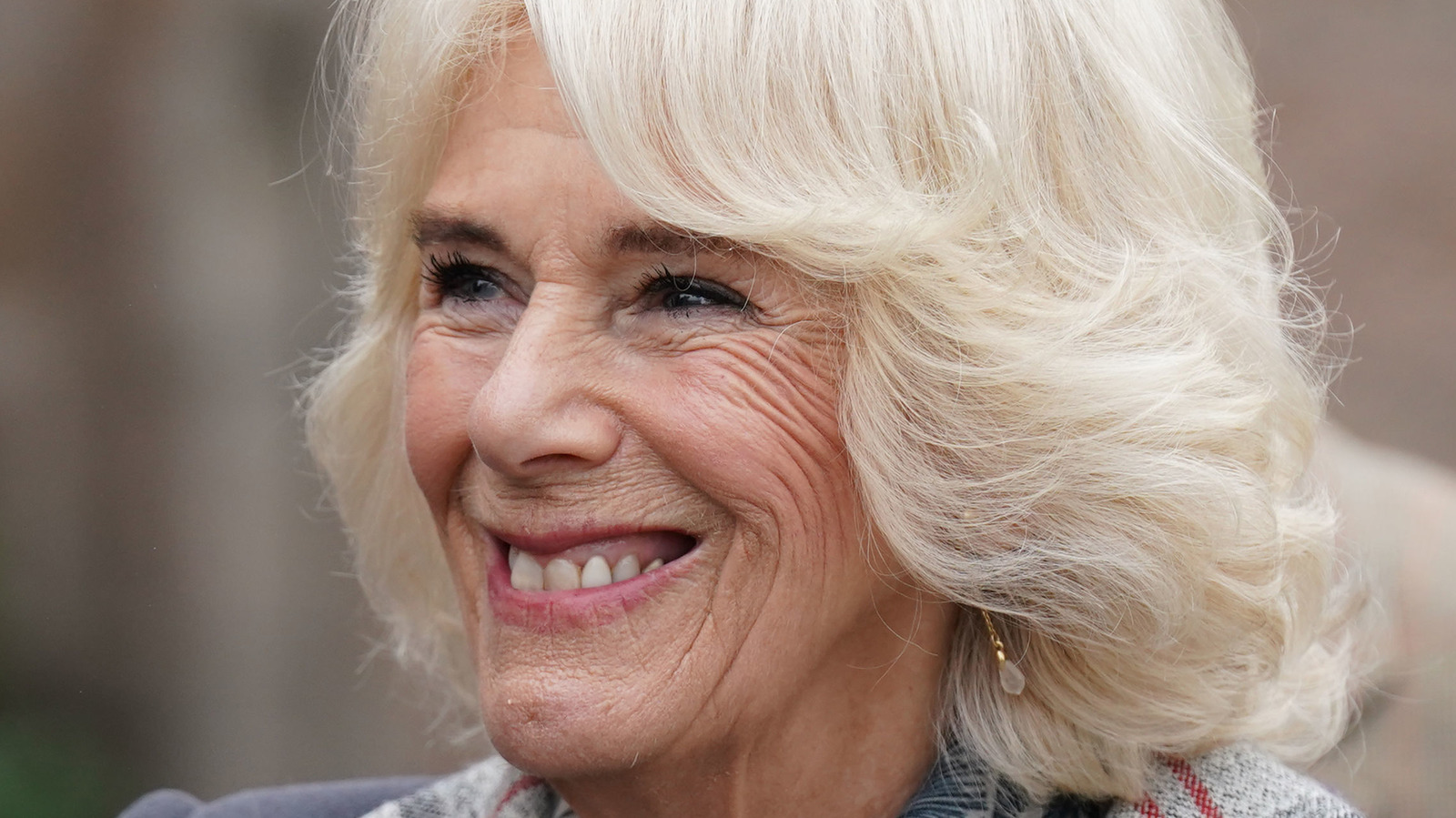 How Camilla Parker Bowles Grew Up To Queen Consort