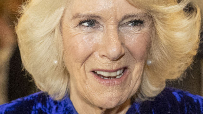 Camilla Parker Bowles smiling