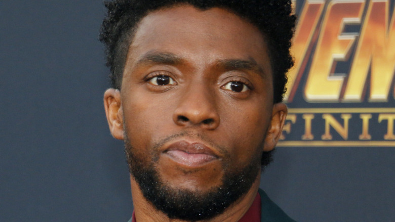 Chadwick Boseman at Avengers: Infinity War premiere