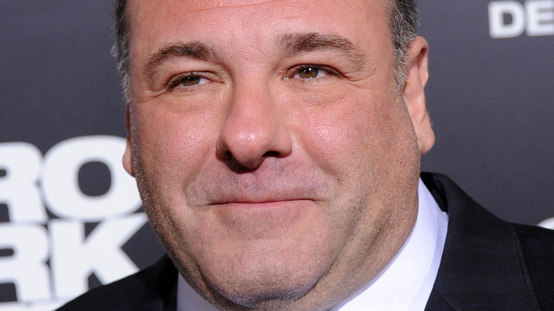 James Gandolfini on red carpet 