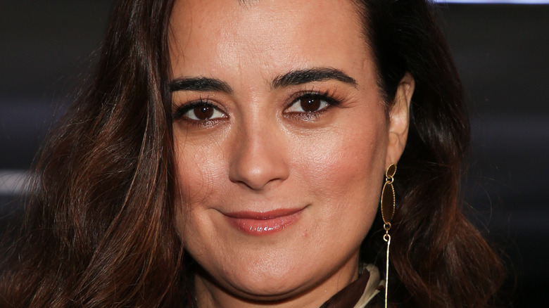 Cote de Pablo soft smiling 