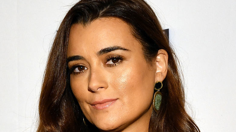 Cote de Pablo posing