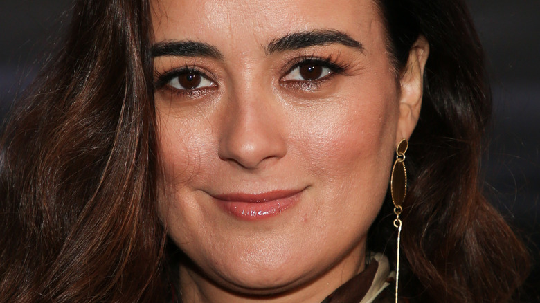 Cote de Pablo smiling