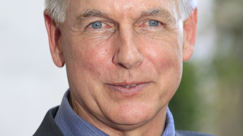 Mark Harmon posing