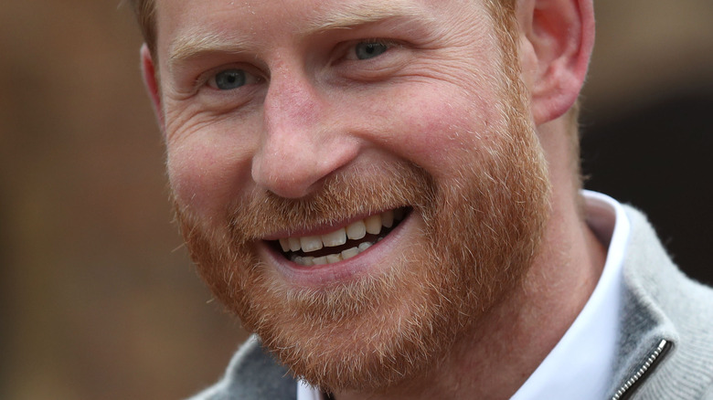 Prince Harry beard