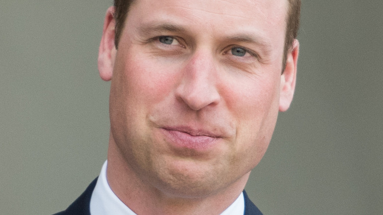 Prince William posing