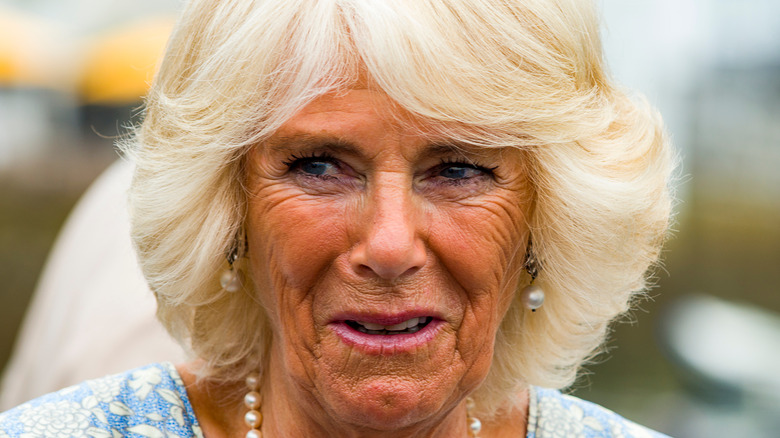 Camilla Parker Bowles in 2018