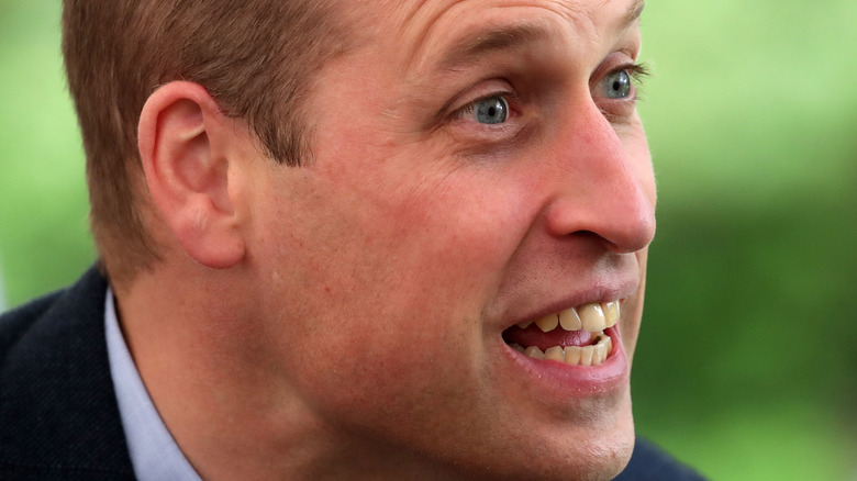 Prince William speaking 