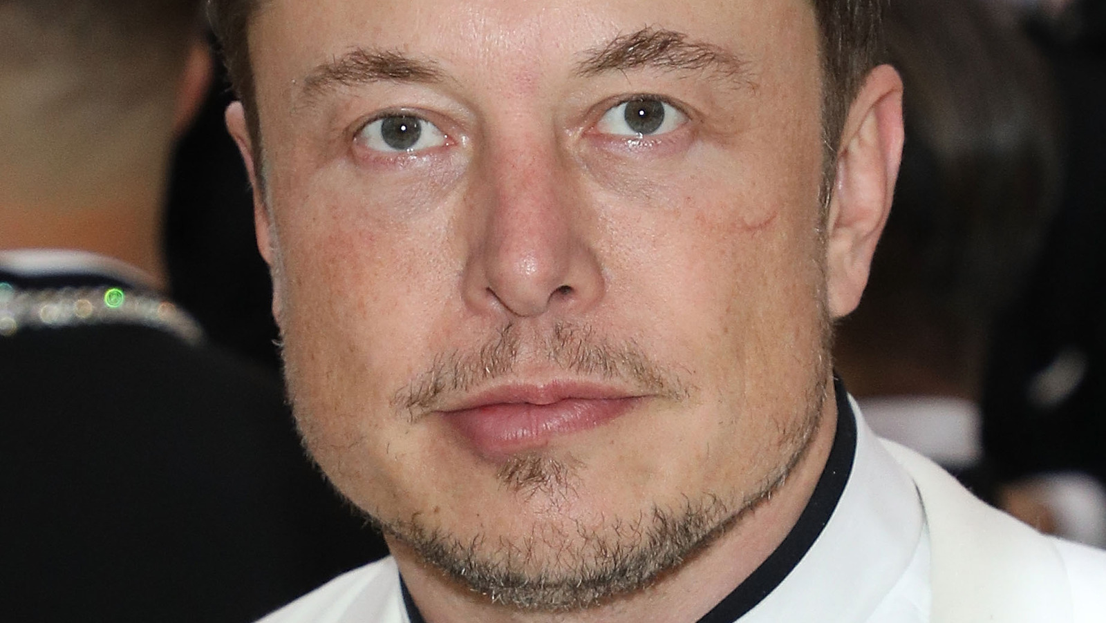 How Elon Musk Got Dragged Into The Amber Heard Donation Controversy