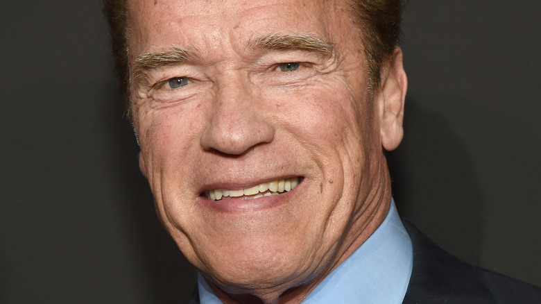 Arnold Schwarzenegger smiling in a suit
