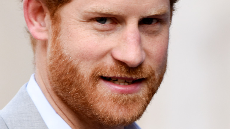 Prince Harry red beard