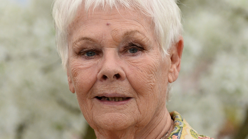 Judi Dench at RHS Chelsea Flower Show