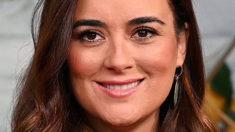 Cote de Pablo smiling