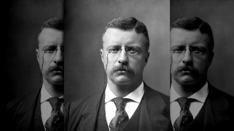 Theodore Roosevelt looking serious