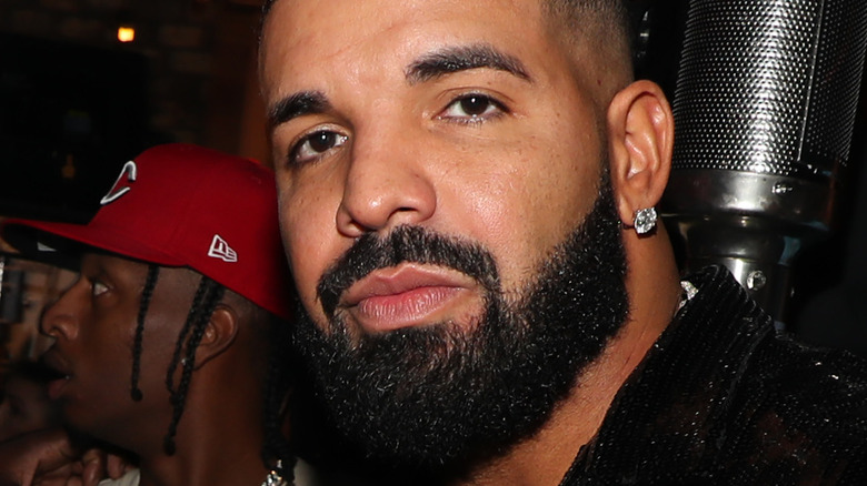 Drake gazing in front