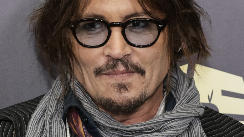 Johnny Depp attends the promotion of the animated series "Puffins"