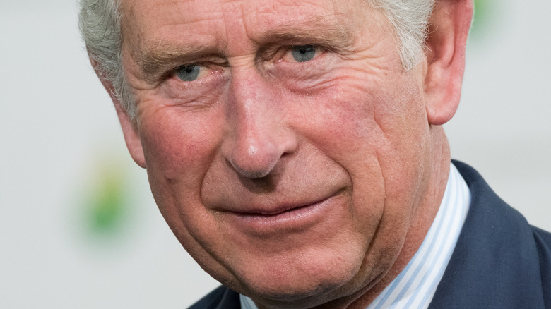 Prince Charles smiling