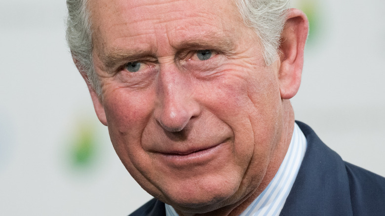 Prince Charles smiling 2015