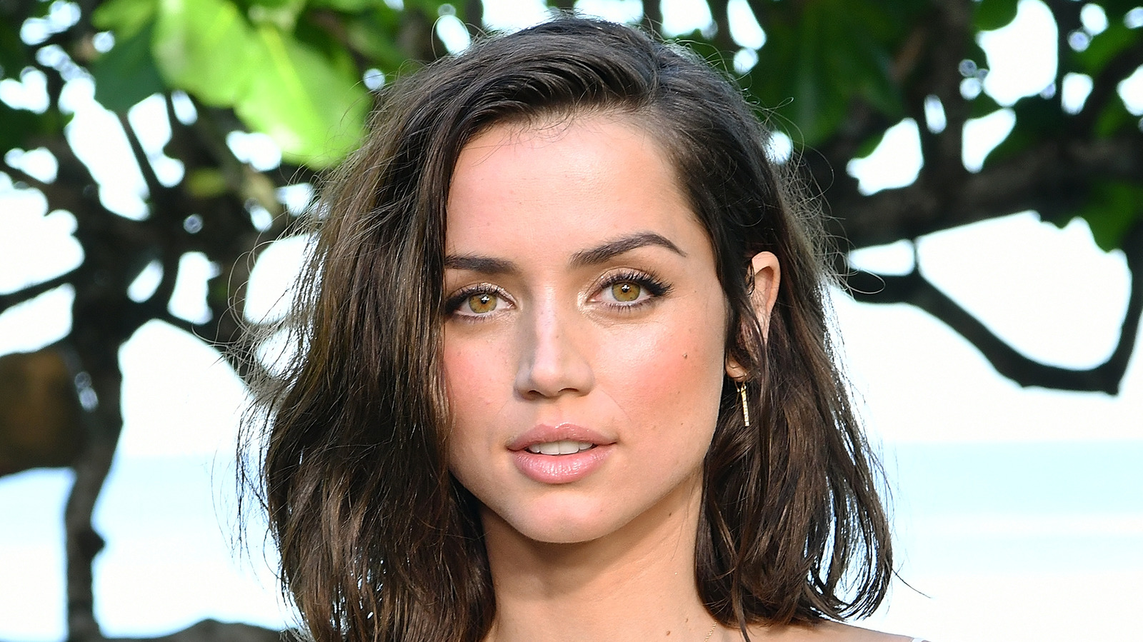 How Much Is Ana De Armas Really Worth?