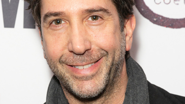 David Schwimmer posing