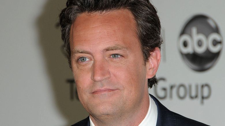 Matthew Perry slight smile