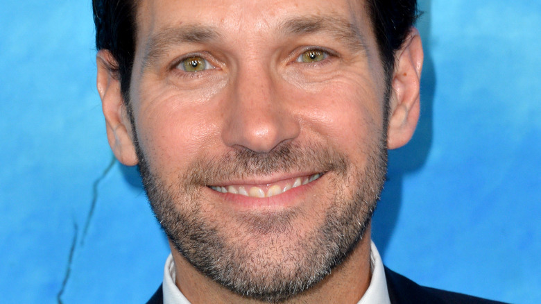 Paul Rudd smiles on the red carpet