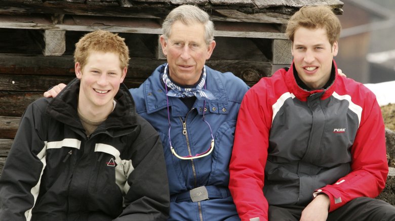 Prince Harry, Prince Charles, Prince William