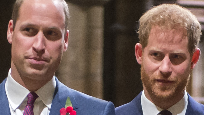 Princes William and Harry at an event