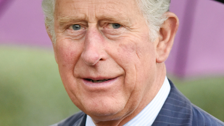 Prince Charles posing