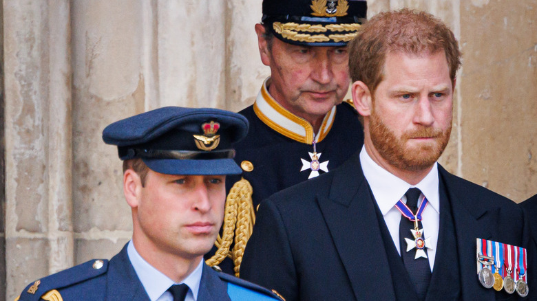 Prince William and Prince Harry